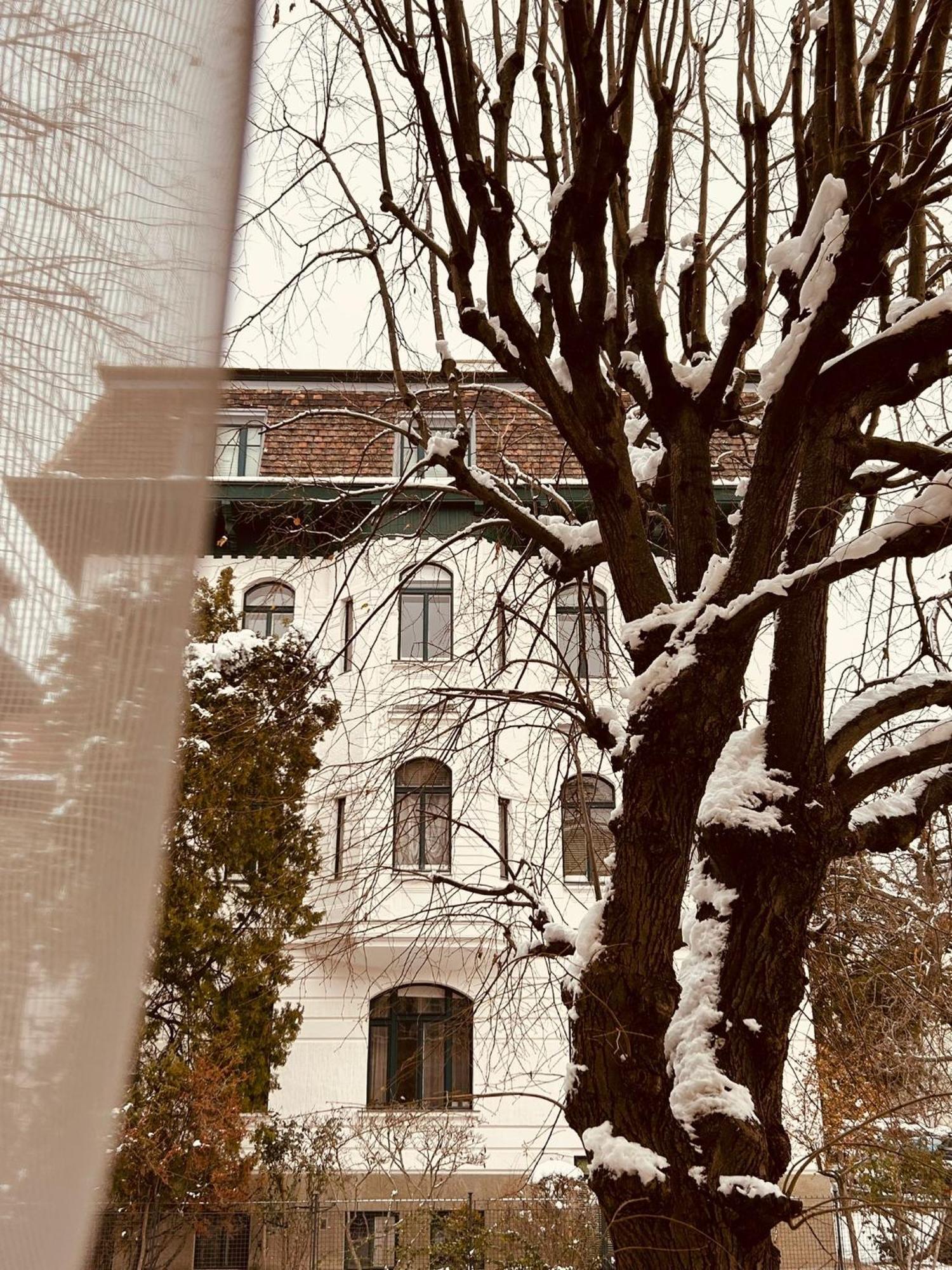Apartment 5 Min Schoenbrunn Gloriette, Direct To City Center, Free Parking Wien Ngoại thất bức ảnh